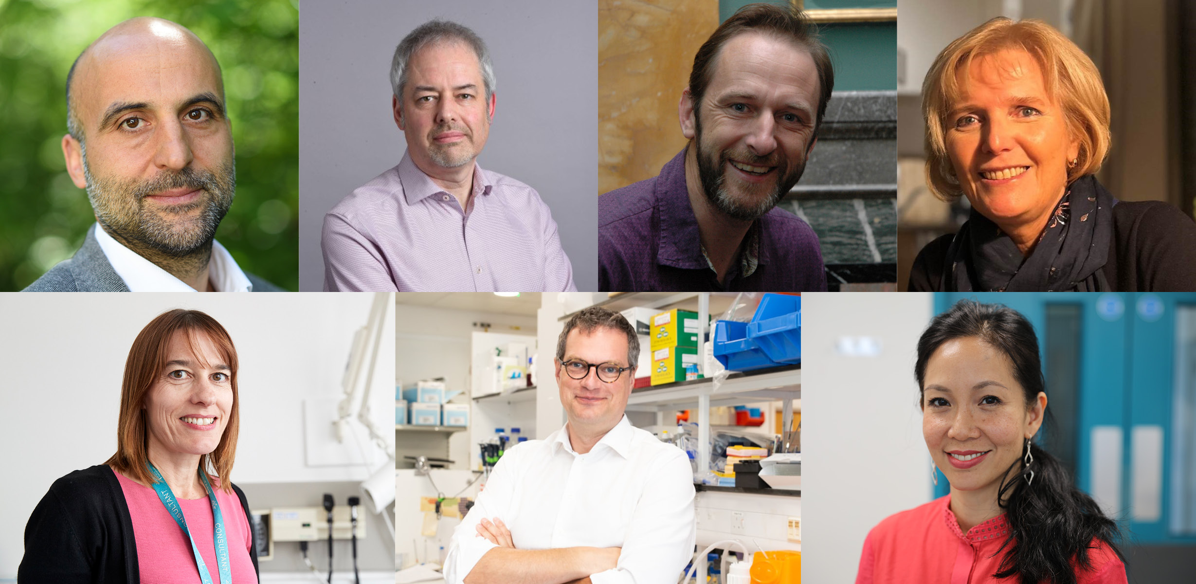 Spotlight on Four Medical Research Leaders Supported by the Academy