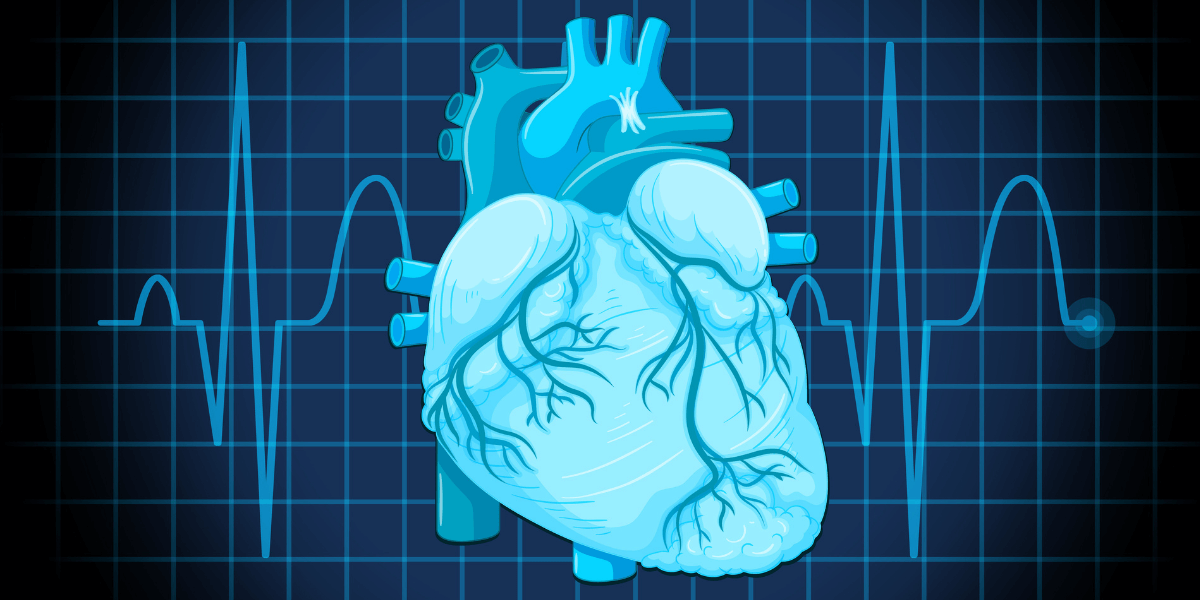 Heart data unlocks sleep secrets