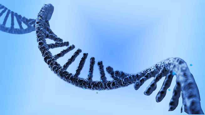 Clinical Translation of RNA Therapeutics and Genome Editing Technologies