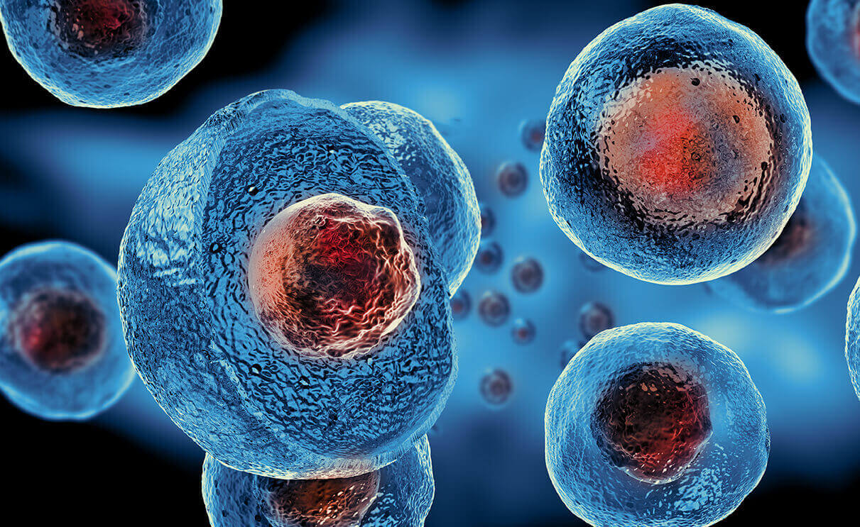 Organoids, Stem Cells, and Advanced Manufacturing in Regenerative Medicine
